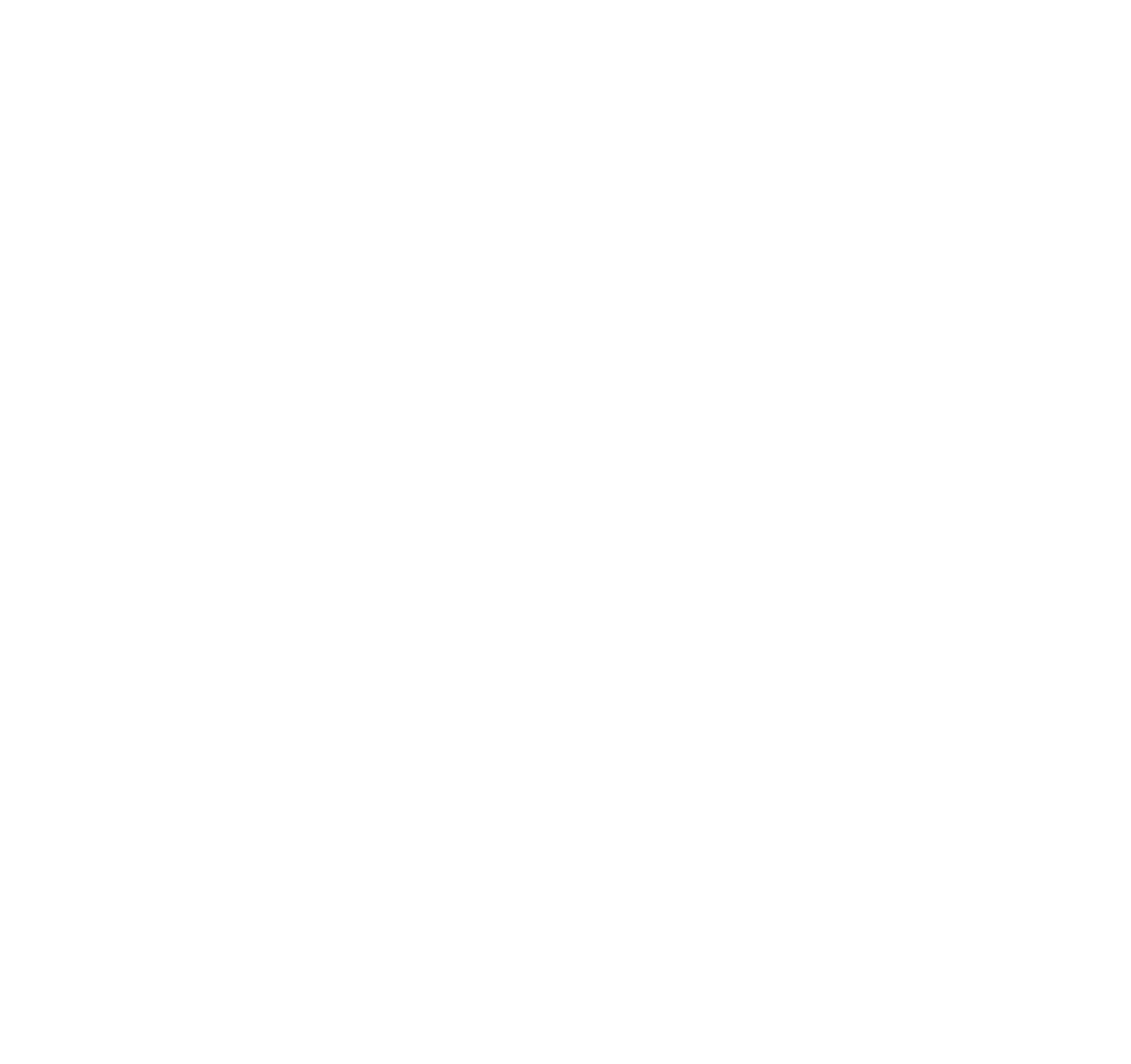 Travellers Choice Logo Award